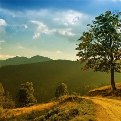 跟莎拉学做棒棒糖蛋糕